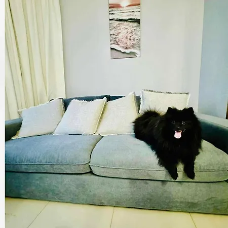 아파트 Don Miguel Ii